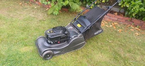 Hayter harrier pro - harrier, petrol
