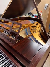 Bluthner Style V Restored Grand Piano - Warranty - Delivery