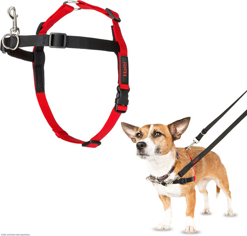 Halti front control dog - front,