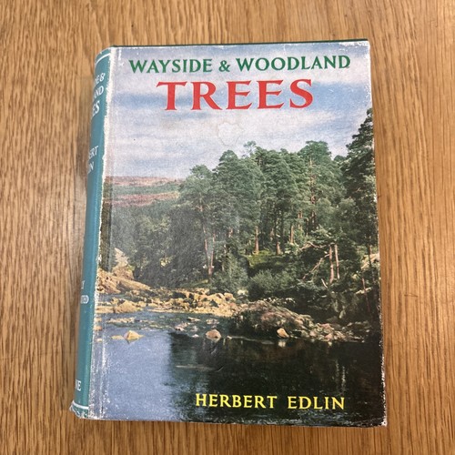 Wayside woodland trees - wayside,