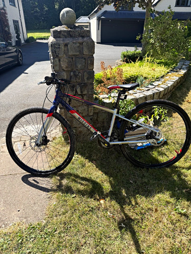 Children wiggin bike - wiggin’s,