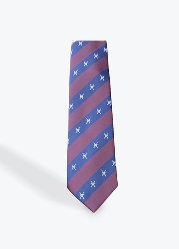 Raf regiment striped tie - regiment,