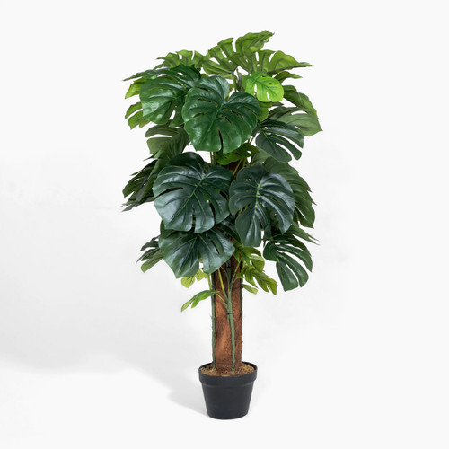 Blooming artificial sample - blooming,