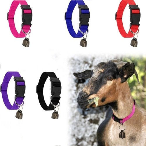 Anti lost pet collar - anti-lost,