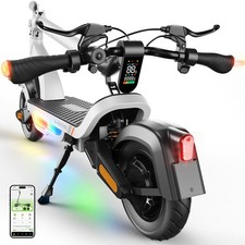 Electric Scooter Adults 1000W