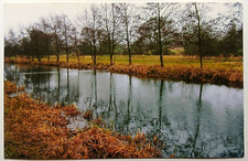 Pocklington Canal East Yorkshire Postcard - unposted