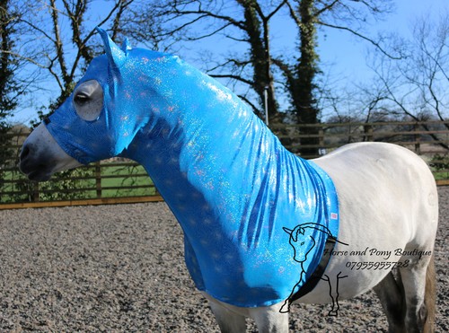 Sparkly turquoise lycra horse