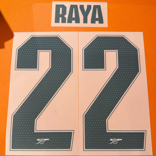 Raya arsenal 2024 cup - 22, 2024-25