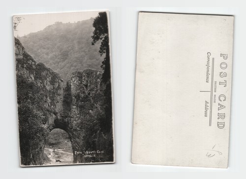 Postcard from reynard s - -, reynard's