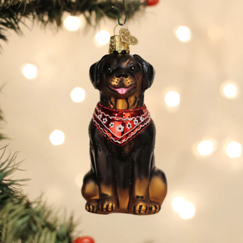 Rottweiler ornament - rottweiler,