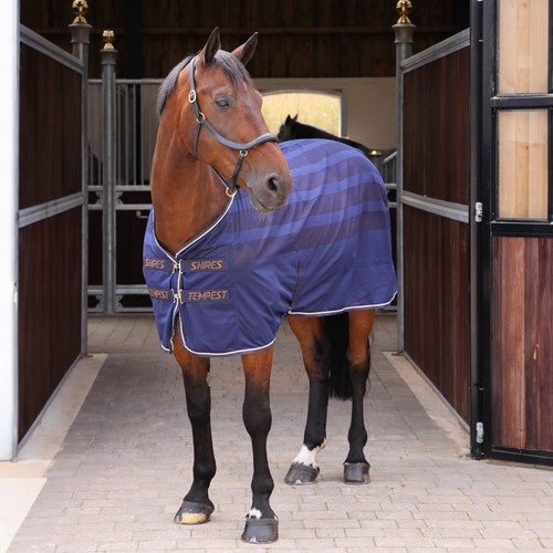 Shires tempest original scrim - tempest,