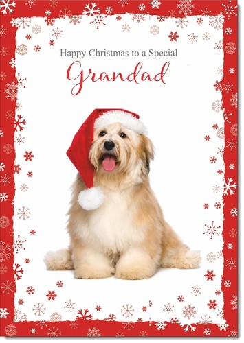 Doodlecards grandad christmas - doodlecards,