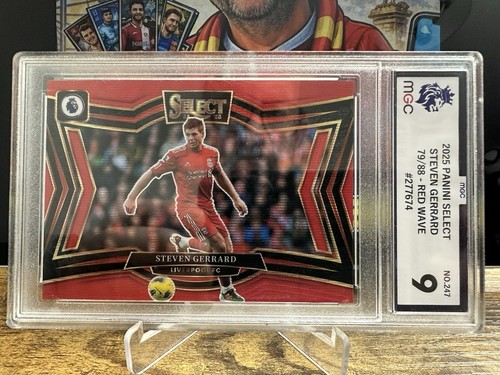 Panini select 2025 steven - select,