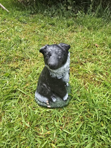 Border collie dog stone garden - border,