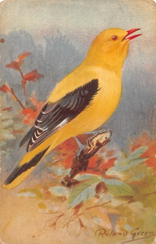 Postcard birds golden - ,