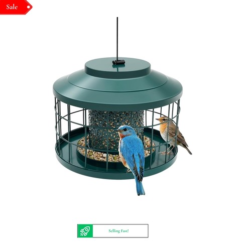 Squirrel pigeon proof bird - &,