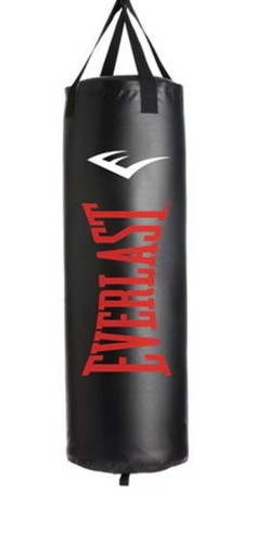 Everlast unfilled punch bag - everlast,