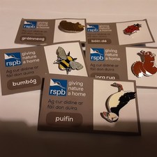 RSPB Pin Badges Irish Edition