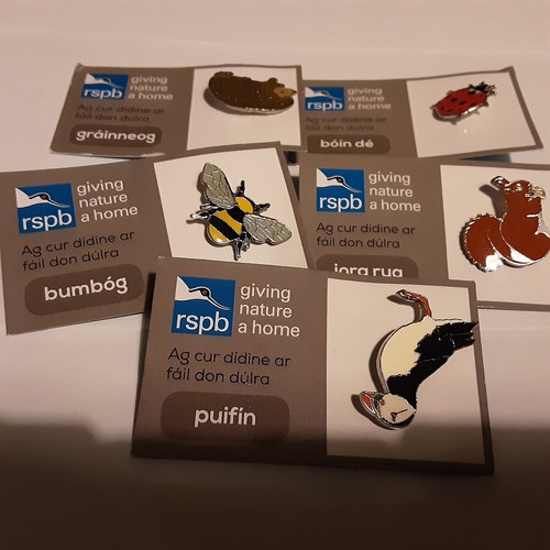 Rspb pin badges irish edition - badges,