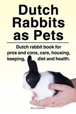Dutch Rabbits. Dutch Rabbits