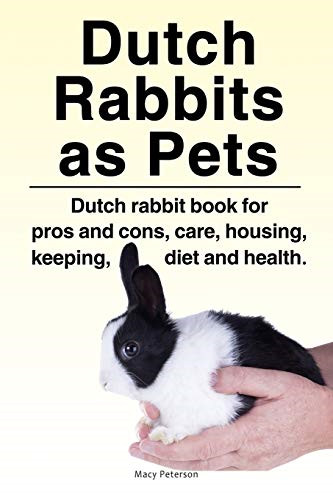 Dutch rabbits - dutch,