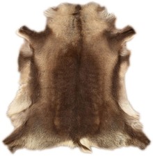 EXCELLENT REINDEER FUR