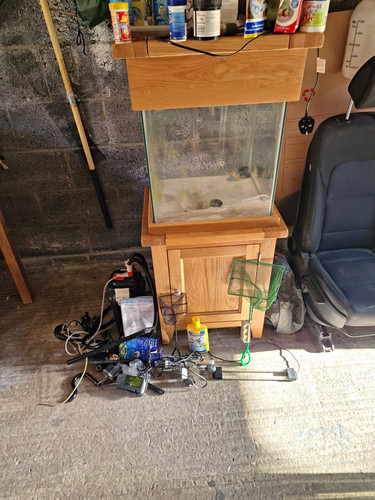Glass rectangular fish tank - glass,