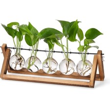 5 Bulb Propagation Station