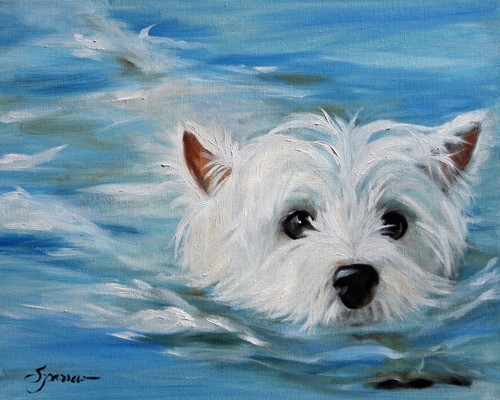 Westie west highland white - highland,