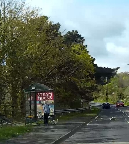 Photo 6x4 bus shelter - 6x4,