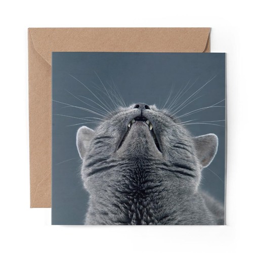 Blank greeting card cute - x,