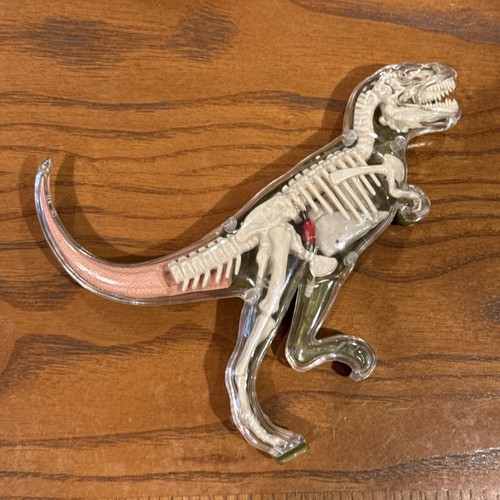 Dinosaur anatomy toy rex - anatomy,