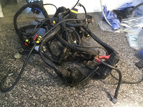 Ducati st3 st3s rear main - ducati,