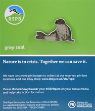 RSPB Pin Badge NIIC Grey Seal P02984