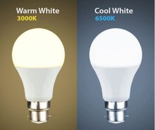 15 WATT Cool white Warm White LED BC B22 GLS Light Bulb Energy Saving Lamp 