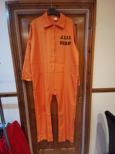 Orange jailbird prisoner - jailbird,
