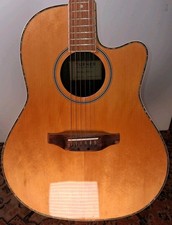 Turner RB-20 Electro-Acoustic