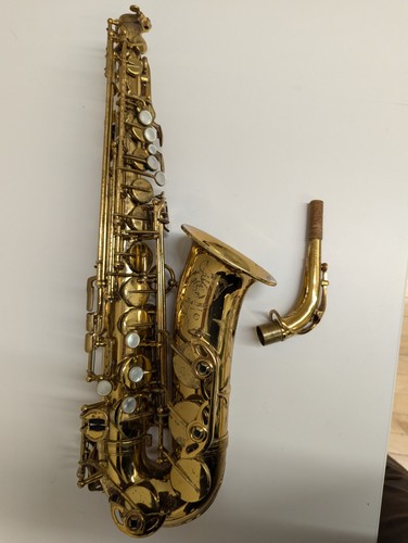 Selmer alto saxophone - vi,