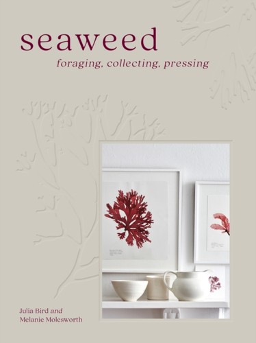 Seaweed foraging collecting - seaweed,