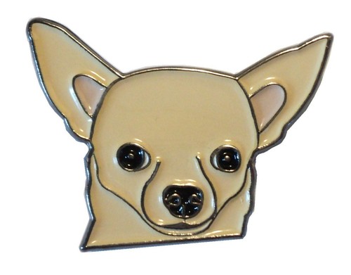 Chihuahua tan colour - tan, dog