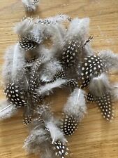 Spotted Guinea Fowl Feathers