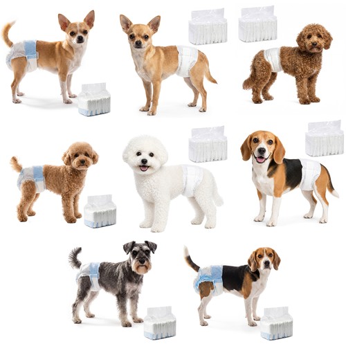 Pack disposable dog diapers - 48,