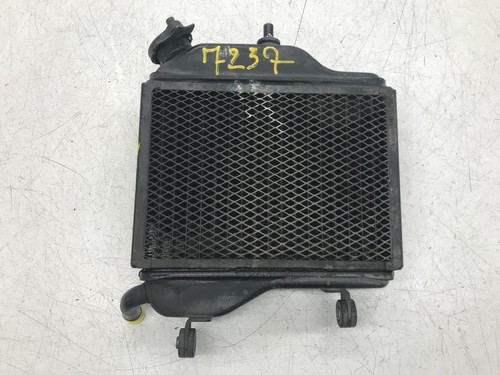 Water radiator yamaha tzr - water,