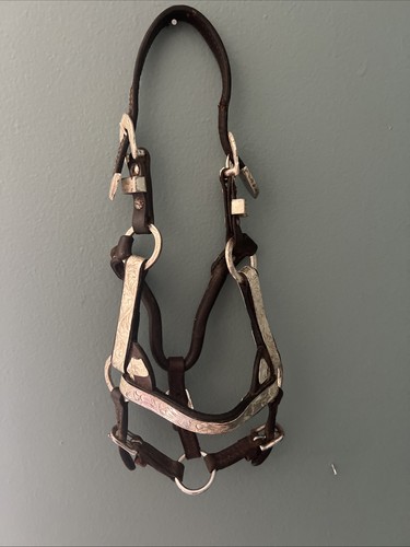 Miniature pony show halter - miniature,