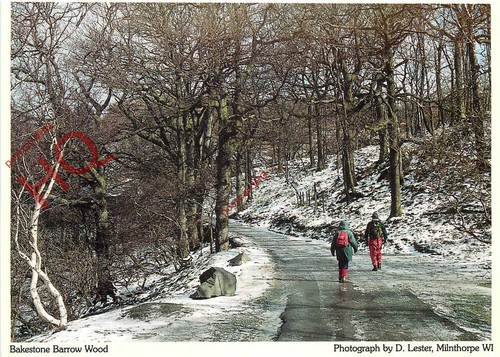 Picture postcard bakestone - postcard>,