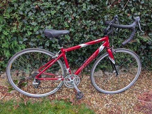 Giant ocr compact road bike - road,