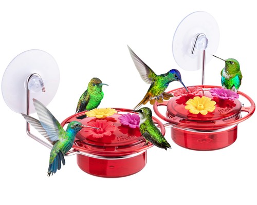 Iborn window hummingbird - window,