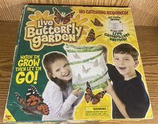Live Butterfly Garden Insect