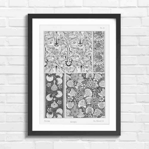 Art nouveau gourd botanical - nouveau,