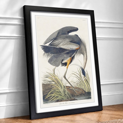 Great blue heron landscape - blue,